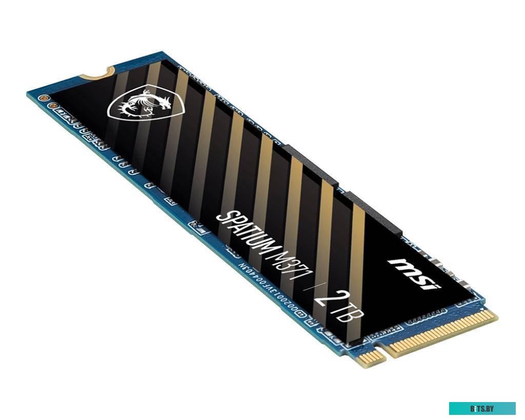 Внутренний твердотельный накопитель MSI Spatium M371 S78-440K160-P83