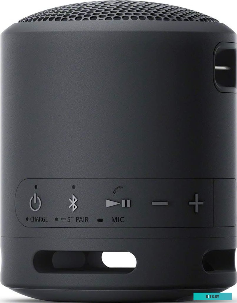 Беспроводная колонка Sony SRS-XB13 (черный)