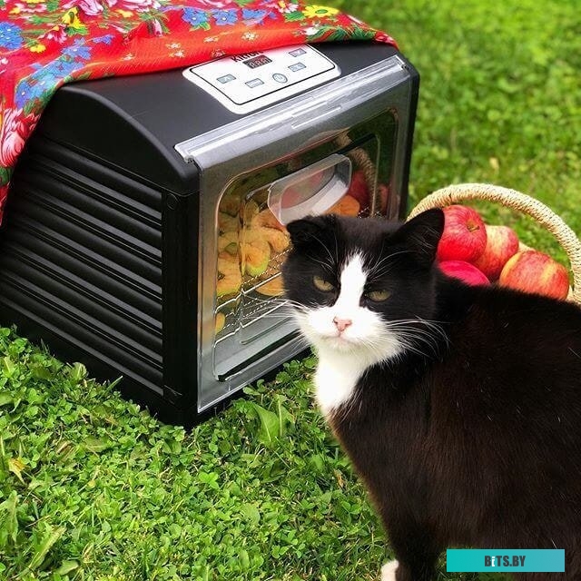 KT-1906 Сушилка для овощей и фруктов Kitfort KT-1906