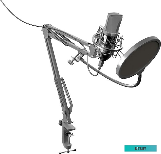 Микрофон Ritmix RDM-169 <RDM-169 Black>