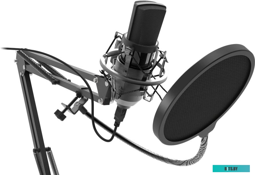Микрофон Ritmix RDM-169 <RDM-169 Black>
