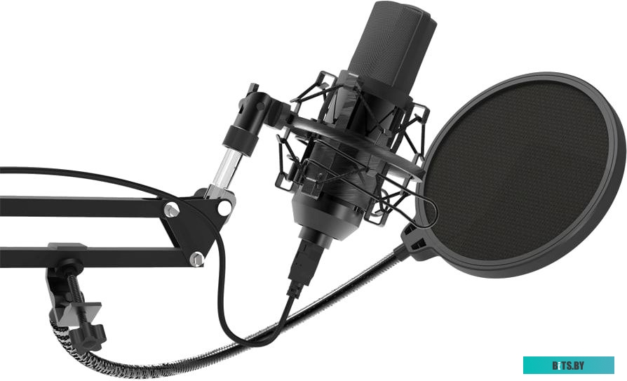 Микрофон Ritmix RDM-169 <RDM-169 Black>
