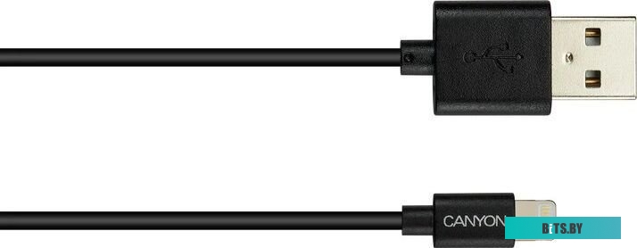 Кабель Canyon CNS-MFICAB01B