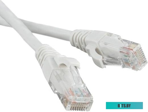 TWT-45-45-2.0-WH Патч-корд TWT UTP кат.5e, с заливными колпачками, 2.0 м, белый