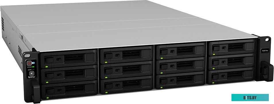 Сетевой накопитель (NAS) Synology DiskStation RS3618xs