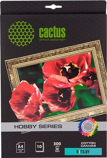 Холст CACTUS Хлопковый холст A4 300 г/кв.м. 10 листов (CS-СA426010)