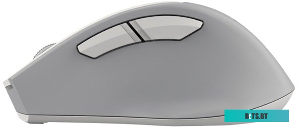 Мышь A4Tech Fstyler FG30S (серый/белый)