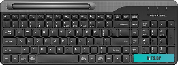Клавиатура A4Tech Fstyler FBK25 (черный/серый)