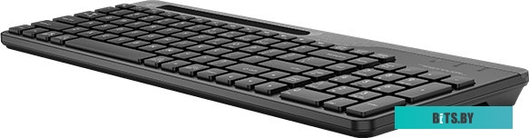 Клавиатура A4Tech Fstyler FBK25 (черный/серый)