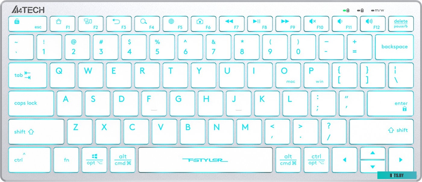 Клавиатура A4Tech Fstyler FX61 (серебристый/белый)