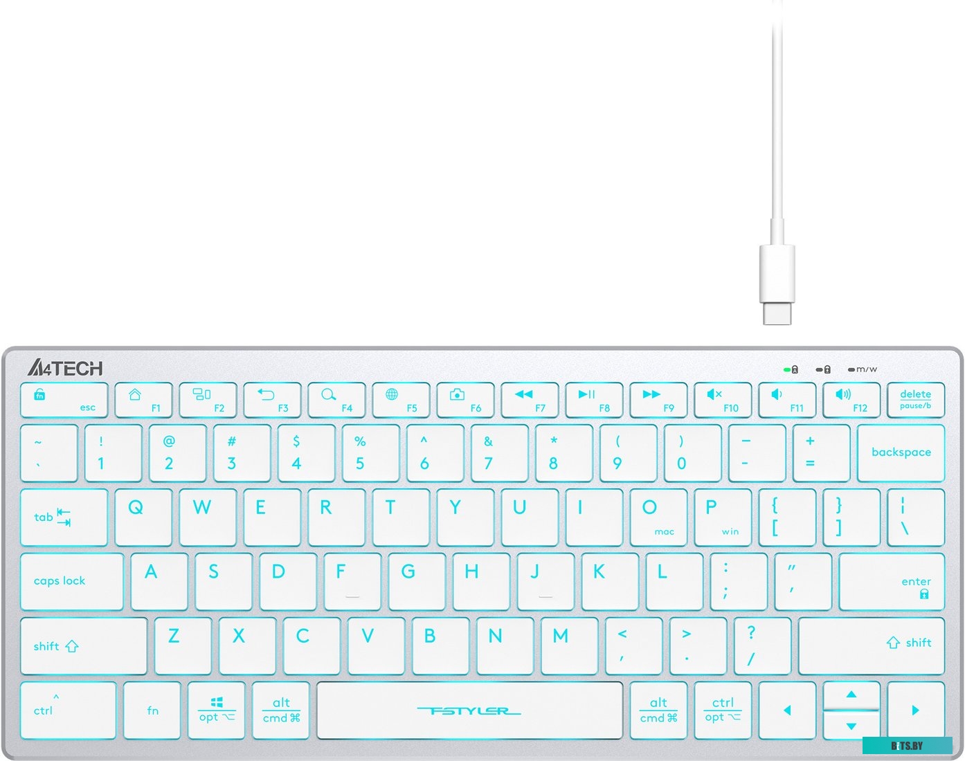 Клавиатура A4Tech Fstyler FX61 (серебристый/белый)