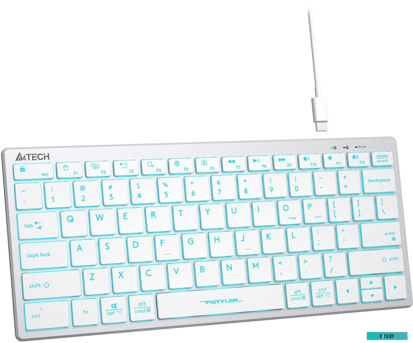 Клавиатура A4Tech Fstyler FX61 (серебристый/белый)