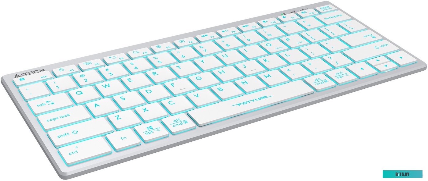 Клавиатура A4Tech Fstyler FX61 (серебристый/белый)