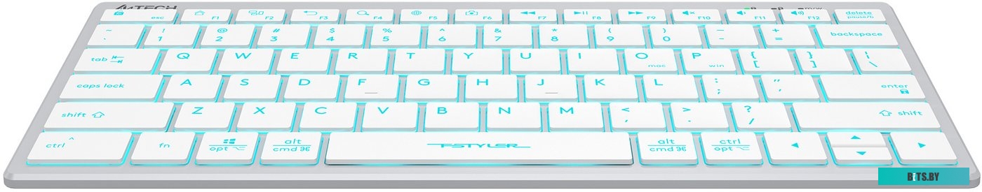 Клавиатура A4Tech Fstyler FX61 (серебристый/белый)