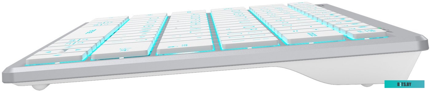 Клавиатура A4Tech Fstyler FX61 (серебристый/белый)