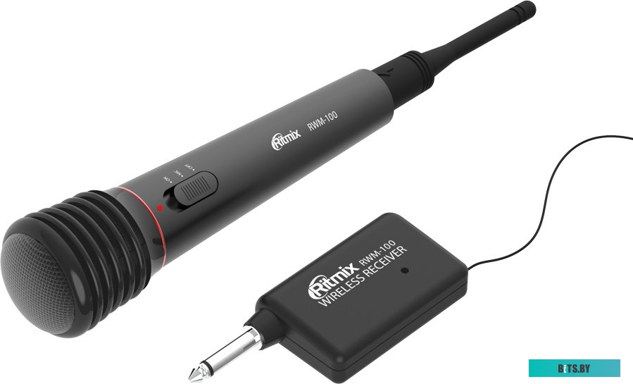 Микрофон Ritmix RWM-100 (черный) <RWM-100 Black>