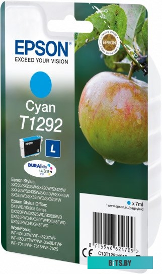 Картридж Epson C13T12924012