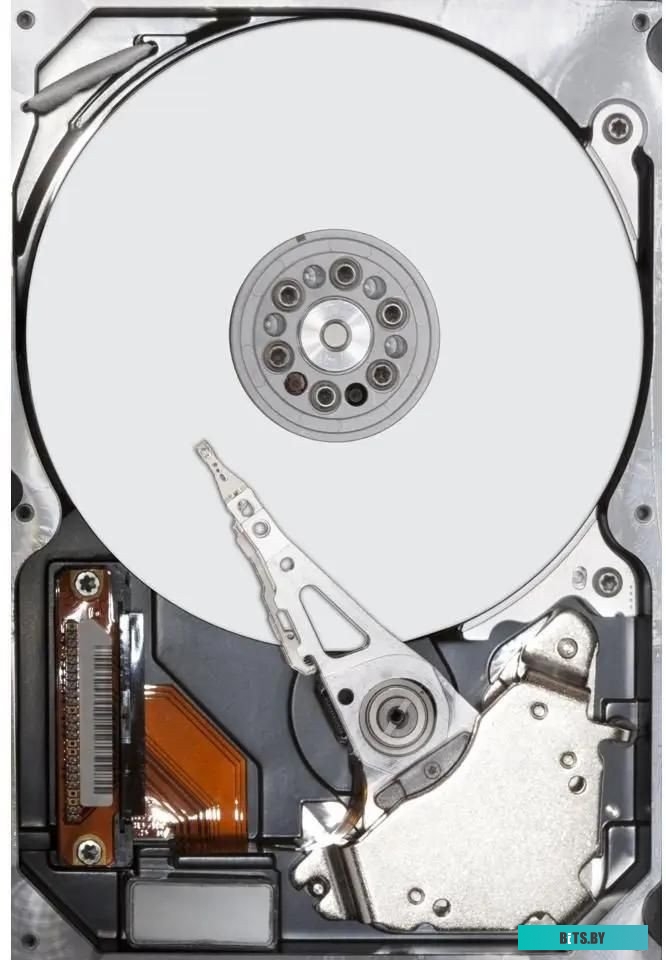 Жесткий диск Seagate IronWolf ST10000VN000
