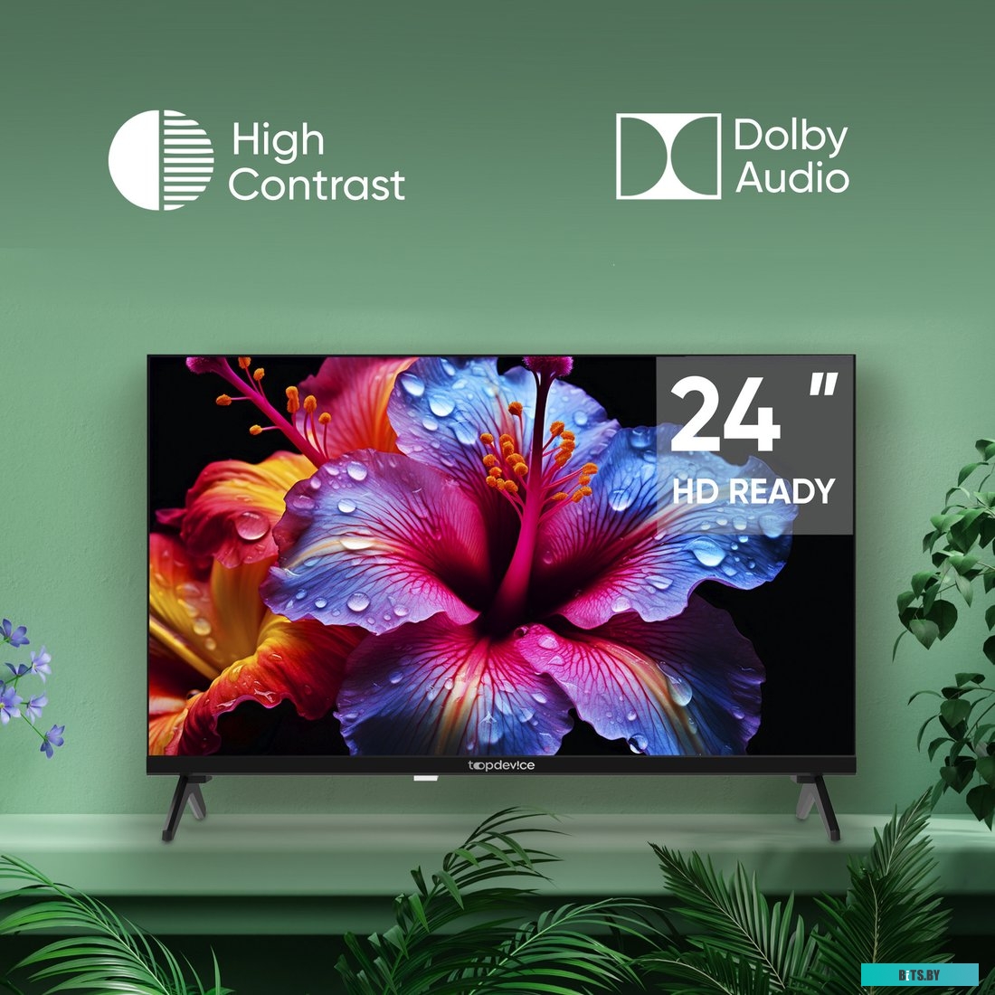 TDTV24CN04HBK Телевизор Topdevice TDTV24CN04HBK