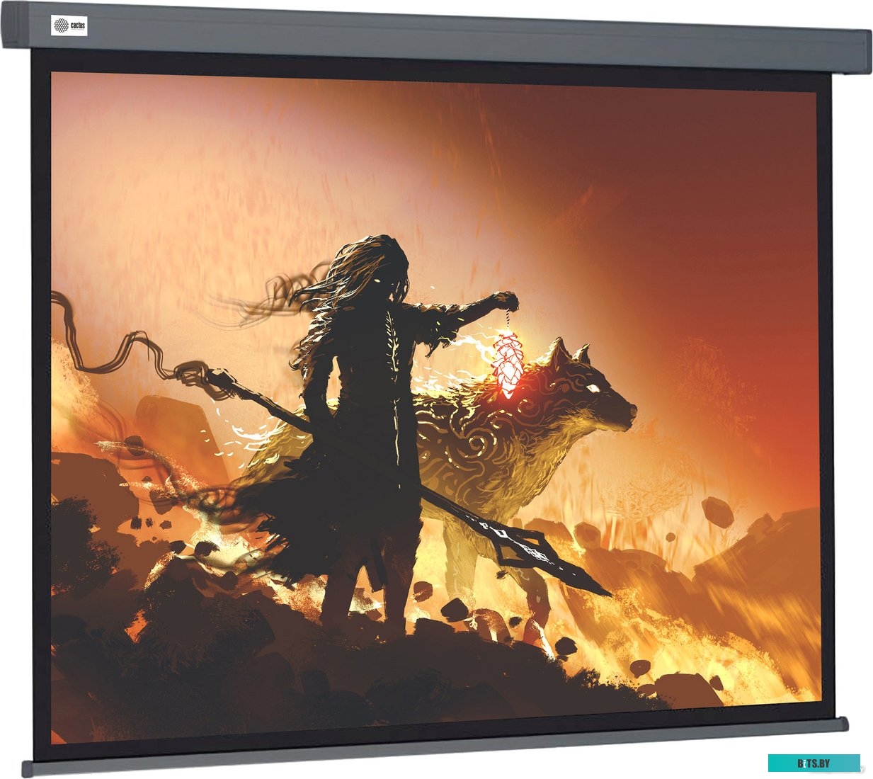 Экран для проекторов Cactus 213x213см Wallscreen CS-PSW-213X213-SG