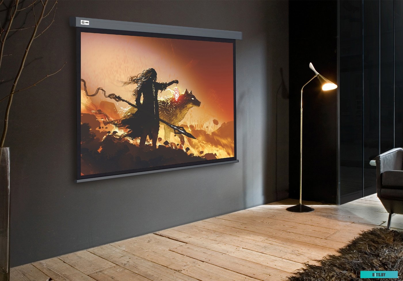 Экран для проекторов Cactus 213x213см Wallscreen CS-PSW-213X213-SG