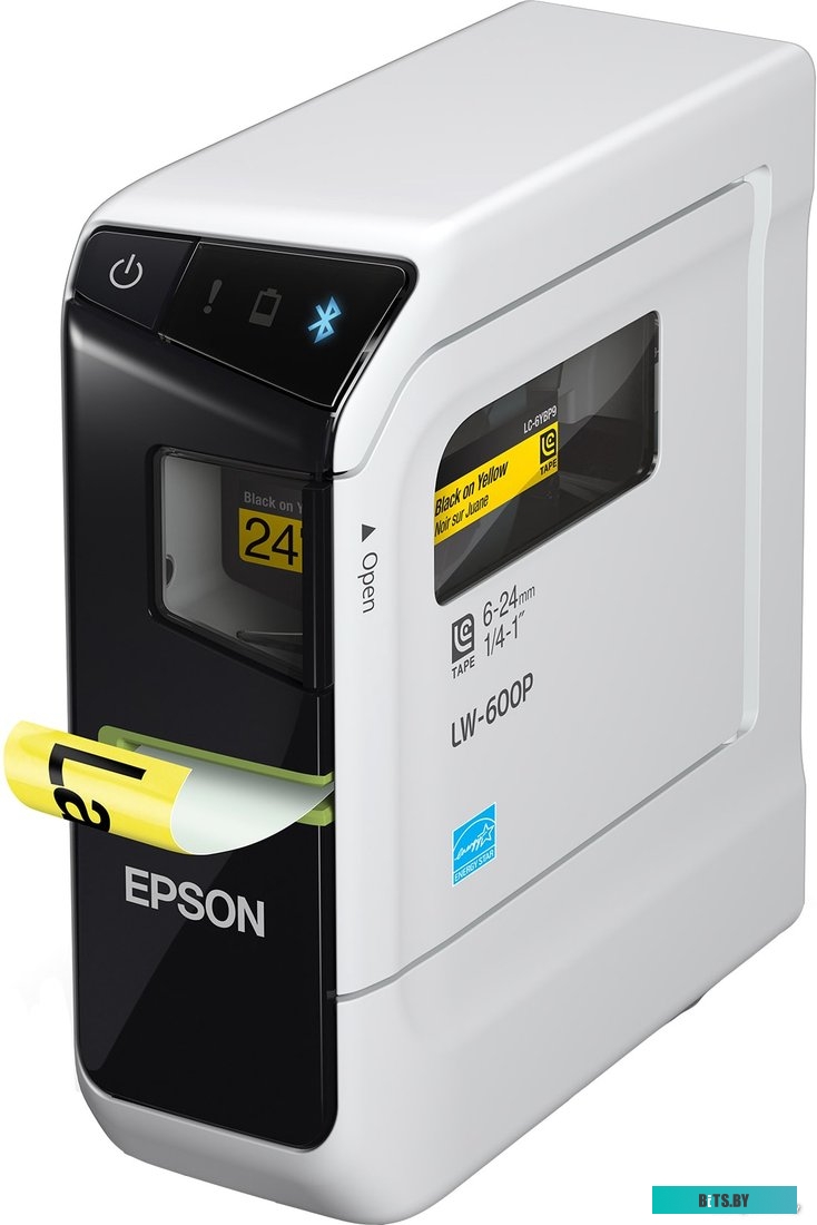 Принтер этикеток Epson LabelWorks LW-600P <C51CD69200>