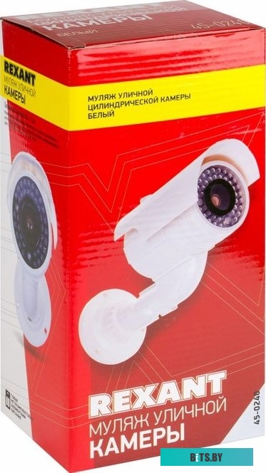 IP-камера Rexant 45-0240