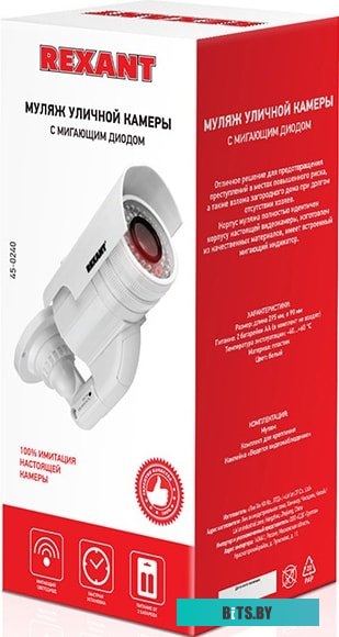 IP-камера Rexant 45-0240