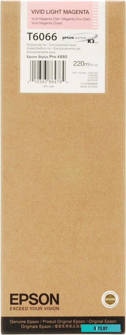 Картридж Epson C13T606600 C13T606600