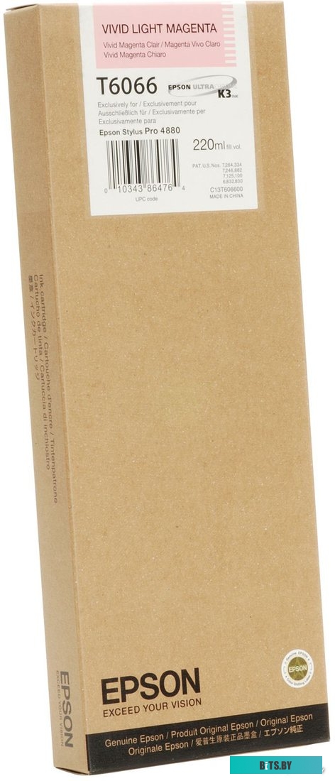 Картридж Epson C13T606600 C13T606600