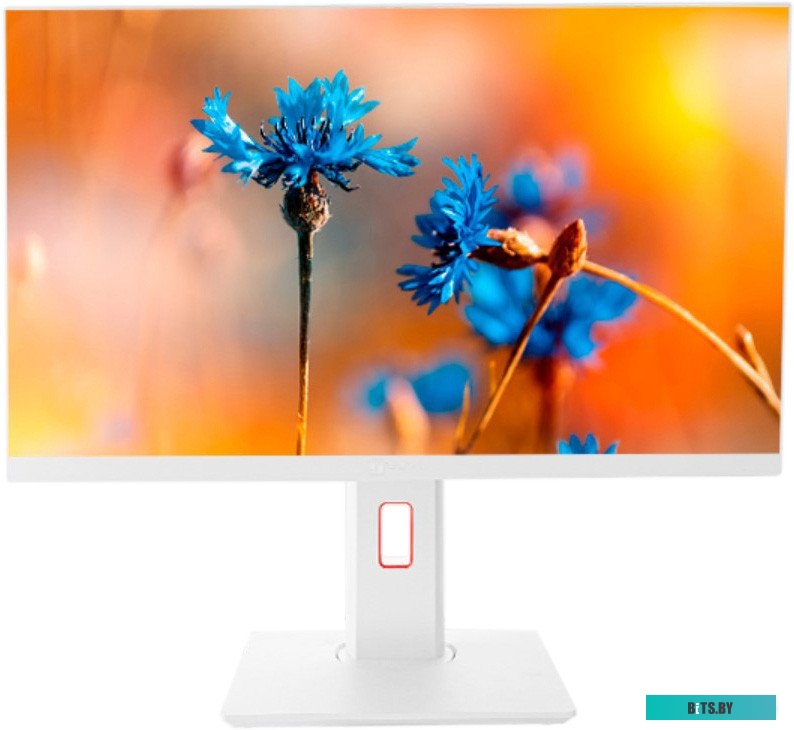 Моноблок ТЕСЛА P24WP 2416500