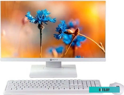 Моноблок ТЕСЛА P24WP 2416500