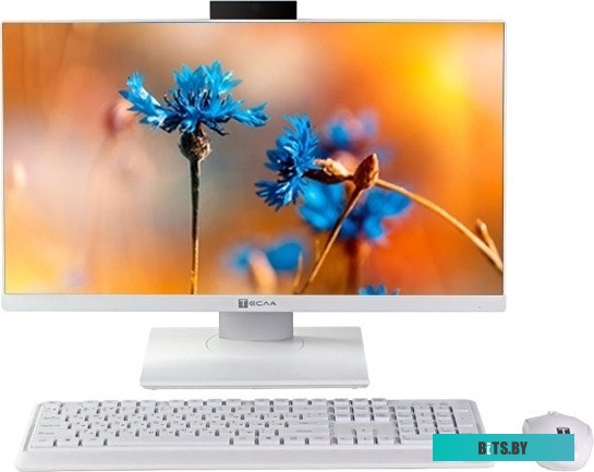 Моноблок ТЕСЛА P24WP 2416500