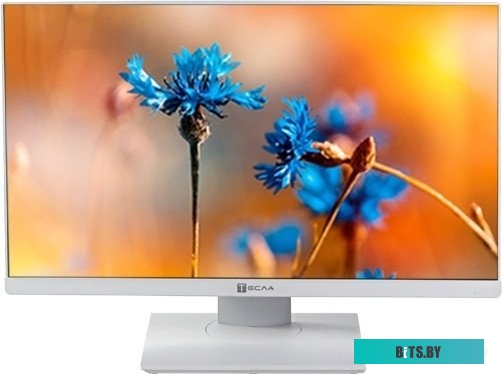 Моноблок ТЕСЛА P24WP 2416500