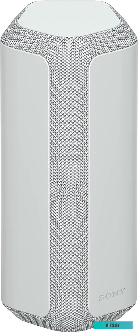 Беспроводная колонка Sony SRS-XE300 (серый) <SRS-XE300/HCE>
