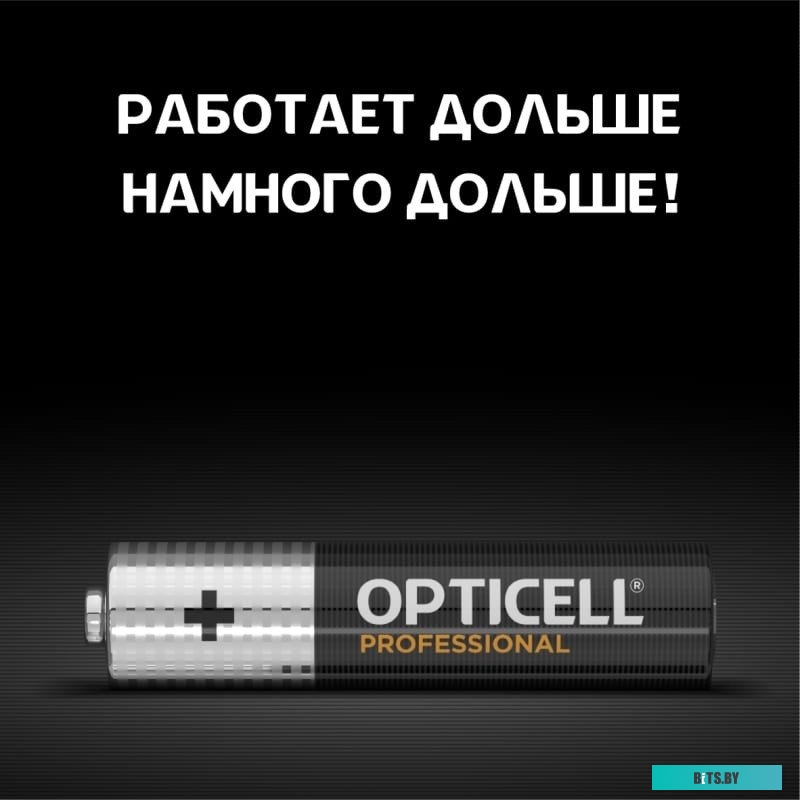 Элемент питания алкалиновый Opticell Professional AAA 5052006