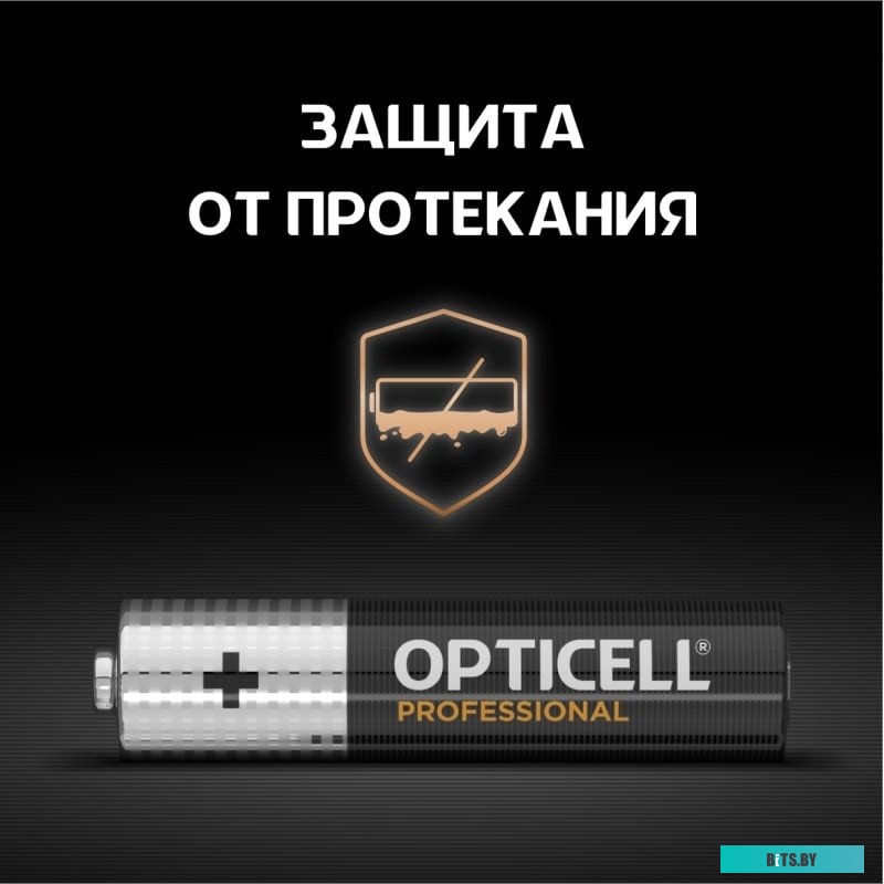 Элемент питания алкалиновый Opticell Professional AAA 5052006