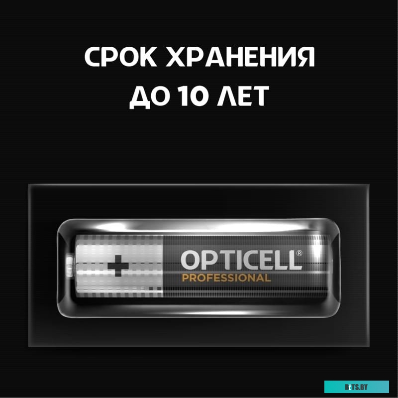 Элемент питания алкалиновый Opticell Professional AAA 5052006