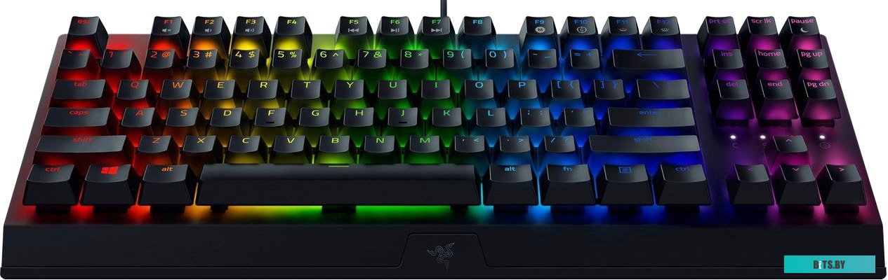 Клавиатура Razer BlackWidow V3 Tenkeyless Green Switch <RZ03-03490700-R3R1>