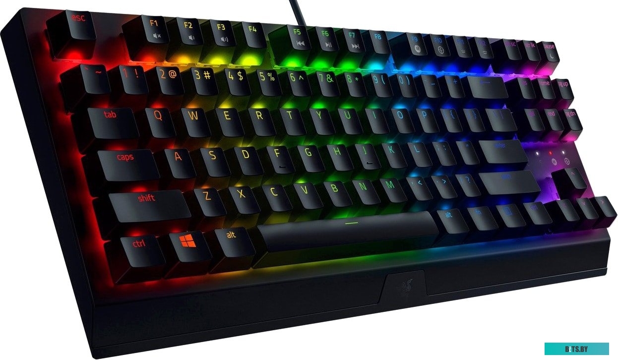 Клавиатура Razer BlackWidow V3 Tenkeyless Green Switch <RZ03-03490700-R3R1>
