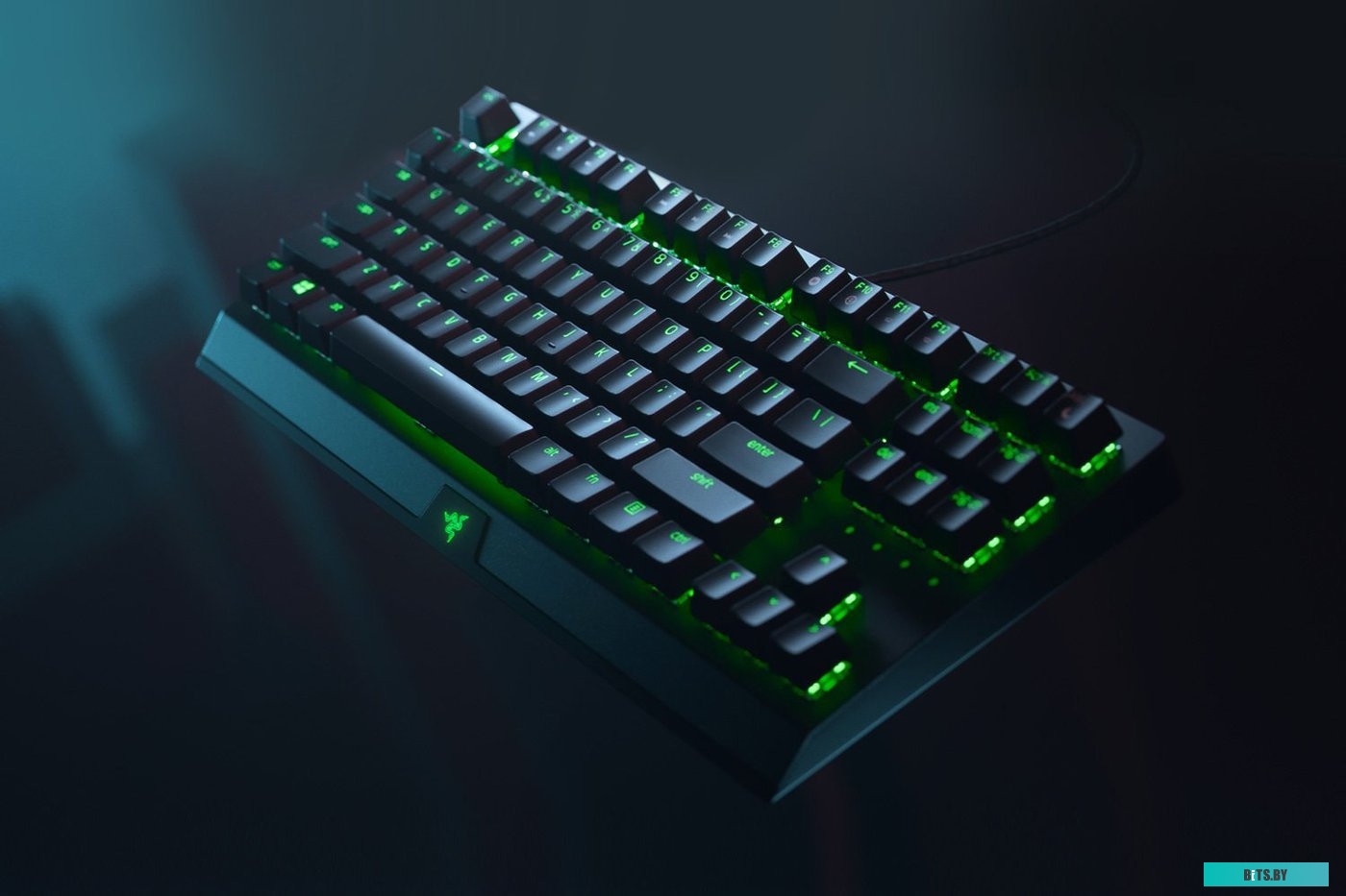 Клавиатура Razer BlackWidow V3 Tenkeyless Green Switch <RZ03-03490700-R3R1>