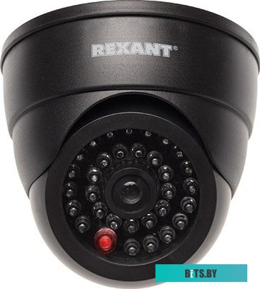 IP-камера Rexant 45-0230