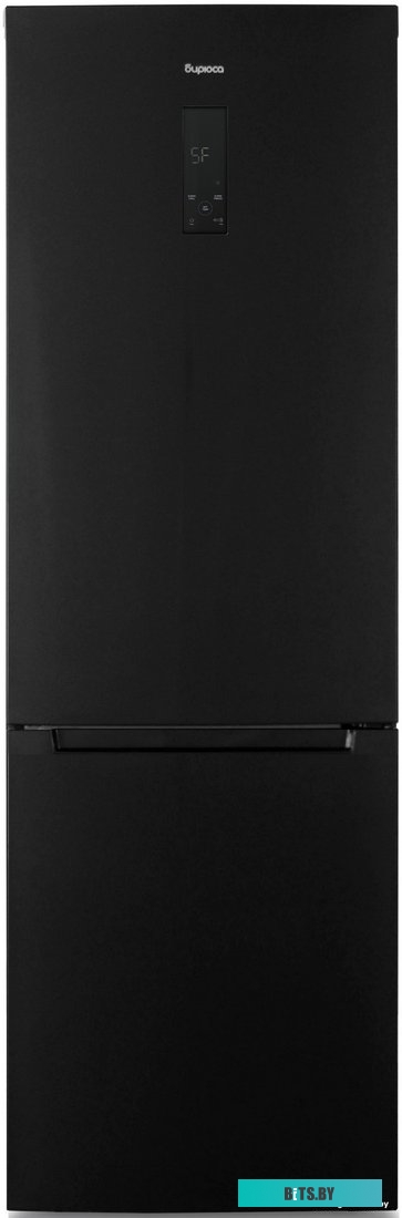 B-W960NF Холодильник B-W960NF BIRYUSA