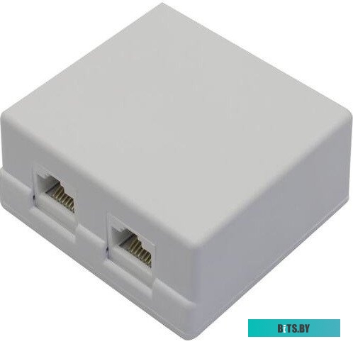 Розетка 5bites LY-SB02-A RJ45/5E/2PORTS Розетка компьютерная UTP, двойная, 2*RJ-45, категория 5е