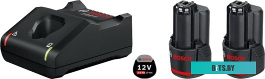 Аккумулятор с зарядным устройством Bosch GBA 12V + GAL 12V-40 Professional 1600A019R8 (12В/2 Ah + 12В) <1 600 A01 9R8>