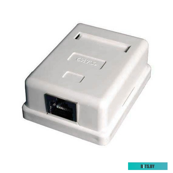 Розетка компьютерная Rexant 03-0122