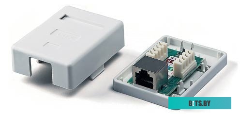 Розетка компьютерная Rexant 03-0122