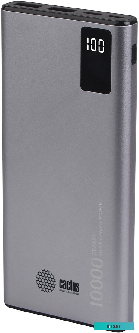 Портативное зарядное устройство Cactus CS-PBFSLT-10000 (серый)