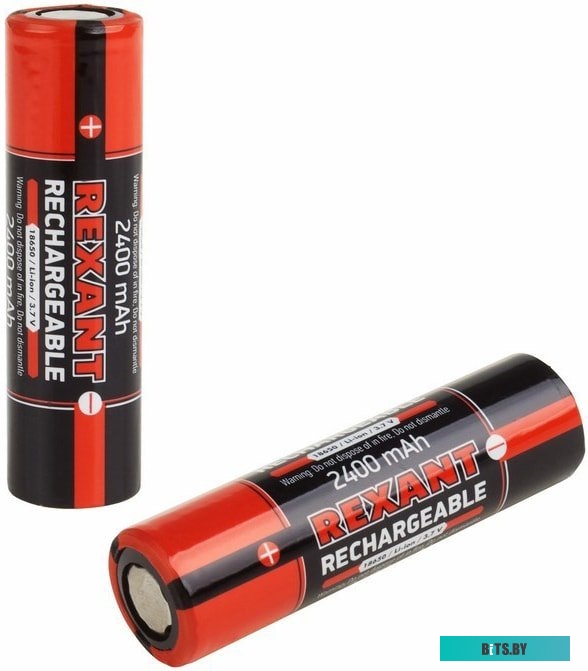 Аккумуляторы Rexant 18650 2400mAh 2шт 30-2010-05