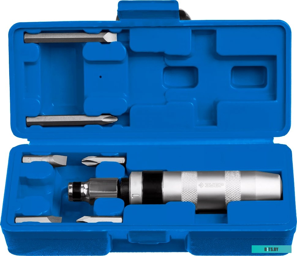 Зубр 2567 (8 предметов)